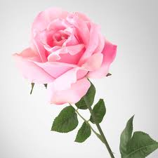 SMYCKA Artificial flower - rose/pink - IKEA
