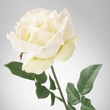 SMYCKA Artificial flower, rose, white - Order today - IKEA